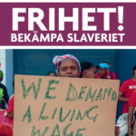 FRIHET! Bekämpa slaveriet