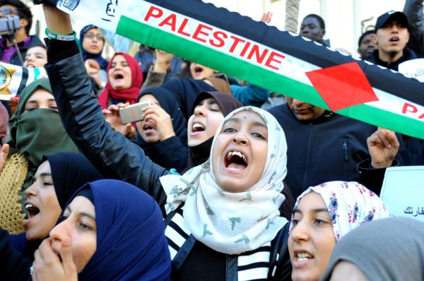 Demonstration i Palestina. Foto: IBL