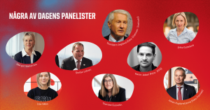 Palmedagen: exempel på panelister under dagen