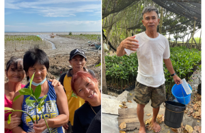 Fishworkers Solidarity